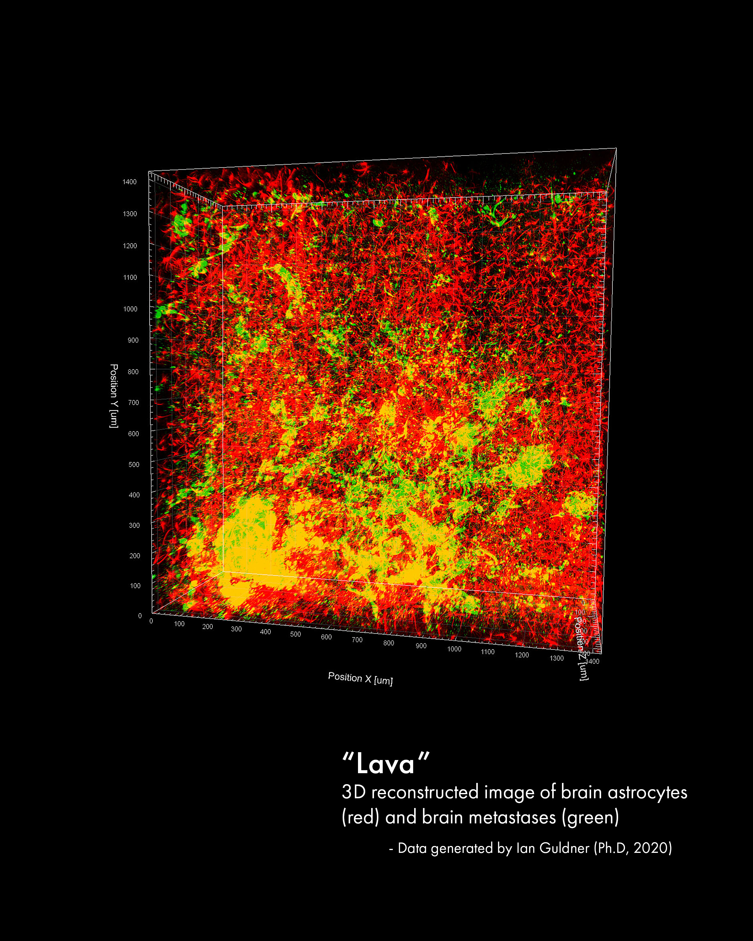 Lava