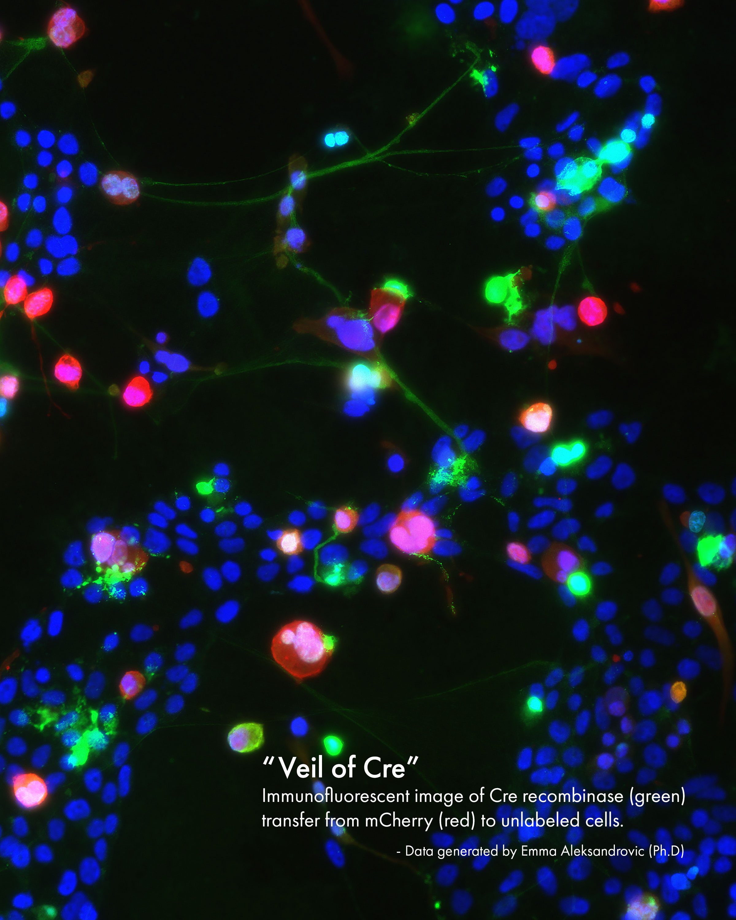 The Veil of Cre